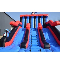 Toboggan gonflable commercial Tiktok Thème Piscine gonflable Glissières gonflables de location en plein air pour les enfants