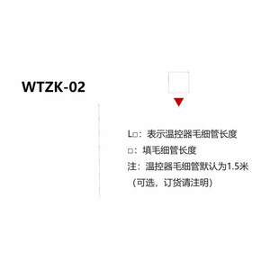 Fujian LEAD Ölgekühlter Transformator Temperaturregler & Messgerät WTZK-02 Serie - Product Image 3
