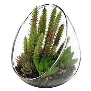 <span class=keywords><strong>Vaso</strong></span> Terrario in Vetro Trasparente Inclinato <span class=keywords><strong>per</strong></span> Piccole Piante di <span class=keywords><strong>Cactus</strong></span> Artificiali - Product Image 2