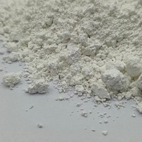Poudre de kaolin de terre céramique, remplissage céramique et ciment blanc pour caoutchouc, haute blancheur, argile céramique de Mongolie intérieure, 25 kg