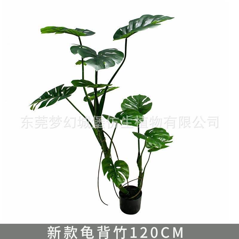 Monstera deliciosa de forêt tropicale 120 cm (livré avec base noire)