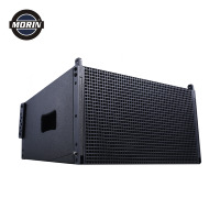 Nouvelle Arrivée Enceintes Line Array Actives Professionnelles pour Mariage, DJ, Discothèque et Salles de Réunion