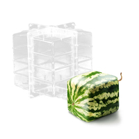 Outil de culture de fruits et légumes japonais durable de haute qualité pour façonner les pastèques semées en formes amusantes