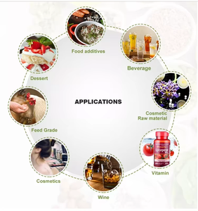 Harga grosir CAS 153-18-4 Herbal kualitas terbaik Sophora Japonica ekstrak 95% bubuk rotin - Product Image 3