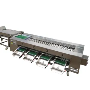 Potato Grading Sorting Machine Automatic Commercial Fruit Sorting Machine Price