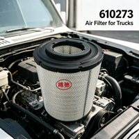 Vente en gros directe d'éléments de filtre à air pour moteur de camion P532473 RS3508 6I0273 pour excavatrice