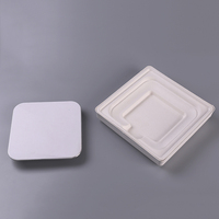Emballage personnalisé ODM/OEM écologique moderne en pulpe pour tablette, avec insert et plateau en pulpe