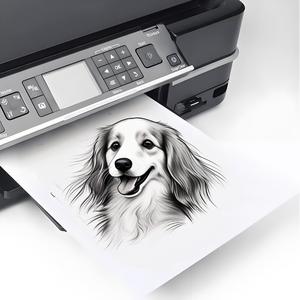 A4 80gsm เยื่อไม้ขาวขนาด70/75/80แกรม100% กระดาษว็อล - Product Image 5