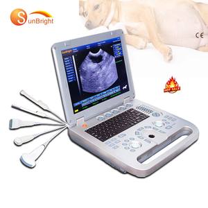 Mesin pencitraan <span class=keywords><strong>Ultrasound</strong></span> <span class=keywords><strong>3D</strong></span> Bw, diagnostik sistem <span class=keywords><strong>ultrasound</strong></span> untuk klinik vet - Product Image 1
