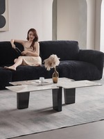 Un salon moderne italien de luxe léger et minimaliste avec une table basse en acier inoxydable de forme irrégulière