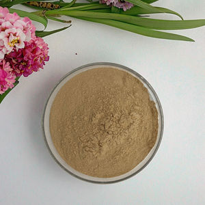 검은 후추 추출물 95% 98% 파이퍼 피린 롱 추출물 검은 후추 분말 - Product Image 6