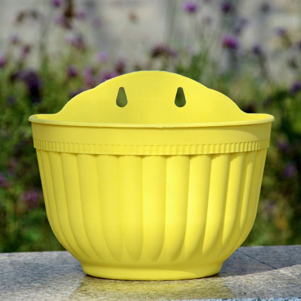 Giallo + interno blu + tappo