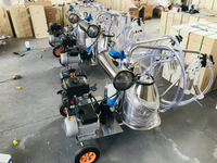 Machine à traire mobile à double alimentation diesel/essence-électrique avec seau en acier inoxydable et circuit de lait fermé