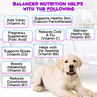 Oimmal Chien Gouttes Multivitamines Peau Manteau Coeur Os Articulations Santé Label Privé Naturel Liquide Supplément Multi-Vitamines pour Animaux de Compagnie