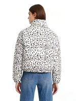 Veste matelassée coupe-vent pour femme, hiver, manches longues, boutonnée, rembourrée