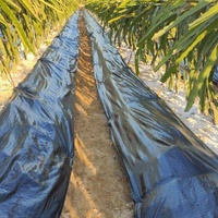 Toile géotextile anti-mauvaises herbes en rouleau pour pépinière et horticulture