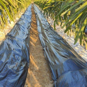 Toile géotextile anti-mauvaises herbes en rouleau pour pépinière et horticulture - Product Image 3