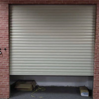 Usine ZHTDOORS 82mm,115mm Porte de volet roulant en acier galvanisé Volet roulant motorisé électrique Résistant au vent