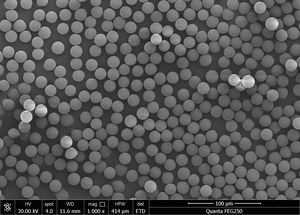 Perles magnétiques fonctionnelles de surface avec groupes aminés pour la purification par affinité, l'ingénierie protéique et les applications en laboratoire - Product Image 2