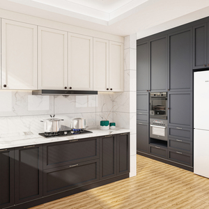 Tùy Chỉnh Bắc Mỹ Đơn Giản Thiết Kế Cổ Điển Phẳng Gói Bóng Chất Lượng Cao Rắn Maple Gỗ Hiện Đại Trắng Shaker Tủ Bếp - Product Image 2