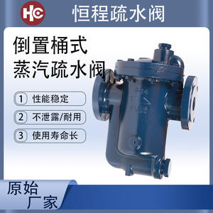 Trampa de Vapor Tipo Cubeta 994 PN16 de Hierro Dúctil con Brida Invertida para Intercambiador de Calor - Product Image 3