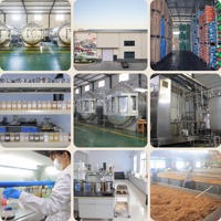 KFY3 Additif alimentaire avicole haute performance Probiotiques pour la croissance des poulets de chair et la santé des poules pondeuses Poudre enzymatique composée fermentée à l'aspergille