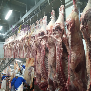 Quy mô nhỏ Lò mổ dây chuyền chế biến bò gia súc thiết bị Lò mổ cho máy giết mổ bò - Product Image 4