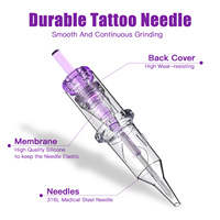 Aiguilles de cartouche de tatouage DQFART violettes pour maquillage permanent des sourcils, modèle TN-03-10, 0,35 mm, 10 pièces, sans alimentation électrique requise
