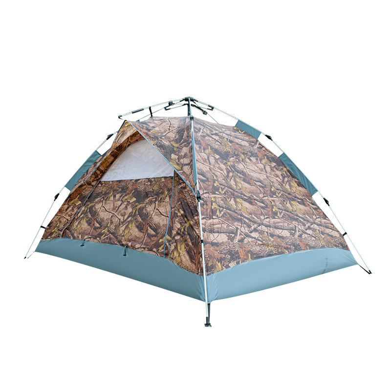 ตามที่แสดง