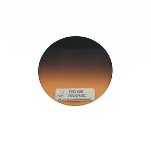 Produit de couleur personnalisé, lentilles en Polyamide dégradées, lentilles photochromiques teintées - Product Image 4