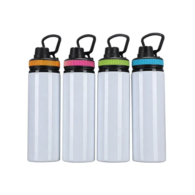 Großhandel Kunden werbung OEM BPA Free Bicycle 500ml Sport Aluminium Wasser flasche