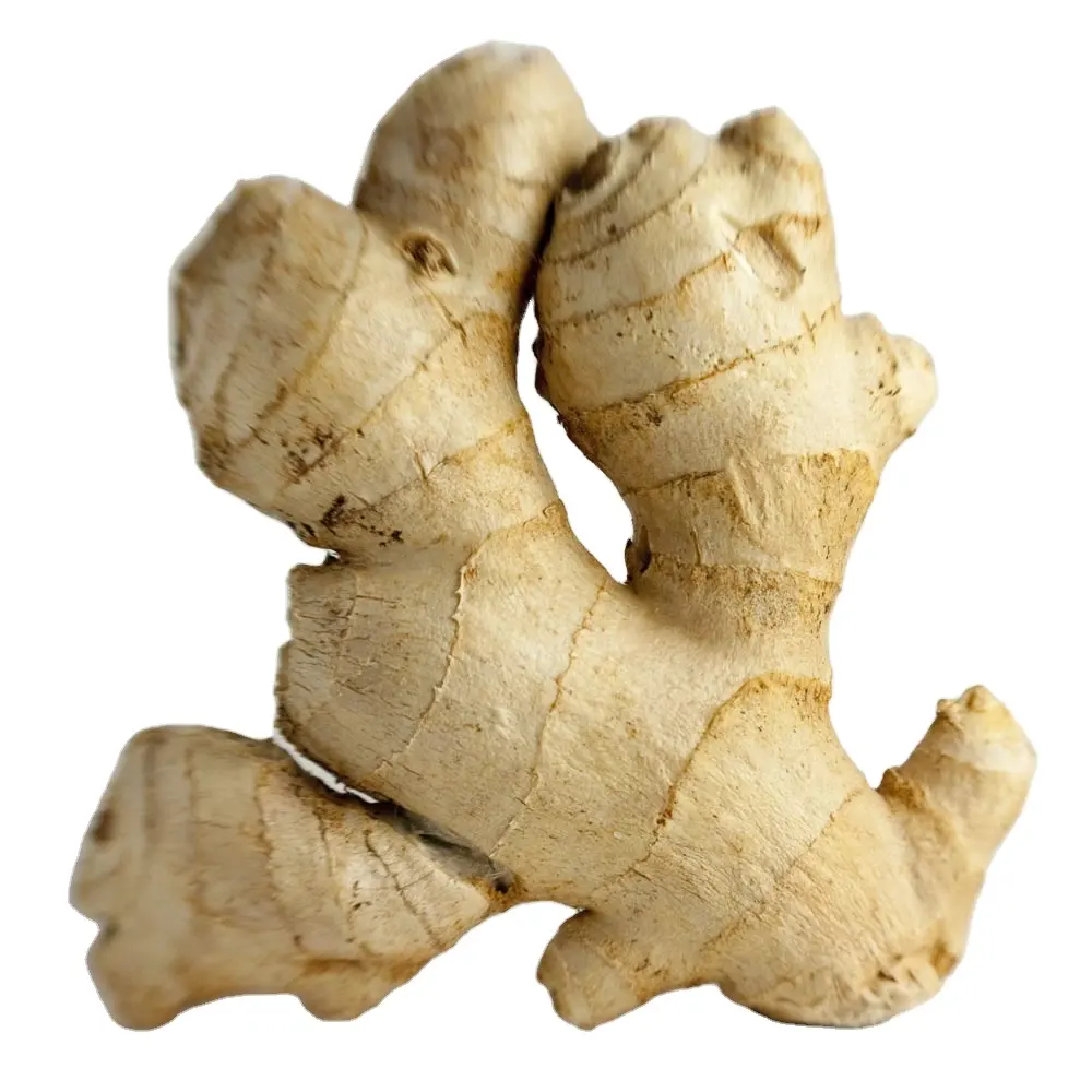Ginger Price Per Ton New Crop Best Quality