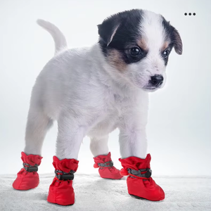 मत्स्य राजकुमारी नए समायोज्य नरम नीचे कुत्ते जूते गैर-पर्ची गंदगी प्रतिरोधी जलरोधी जलरोधक मखमली पैर कवर कुत्ते के मोजे - Product Image 1