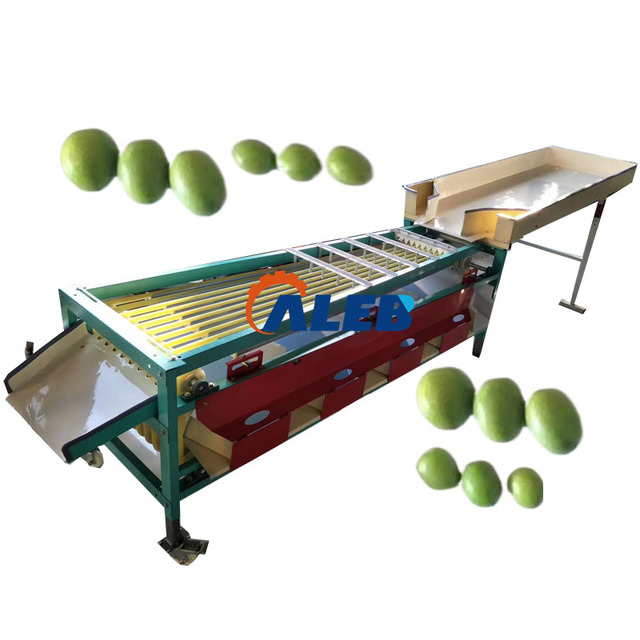 Blueberry Jujube Sorting Selecting Equipment  Stainless Steel Walnut Sorting Machine with 5 Grades