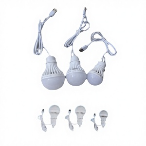 Ampoules LED Globe filaires USB 5V DC 3W 6W, lumière du jour 6000K, durée de vie 30000 heures, CRI 95, charge d'urgence - Product Image 2