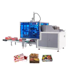 Factory Supply Corrugated Cardboard Fruit and Vegetable Box Making Machine Carton Board 1800pcs/h Production Capacity 50l/minute