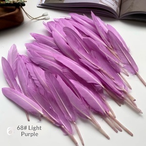 Plumas de Ganso Rectas Pequeñas, Plumas Individuales al por Mayor, Materiales para Manualidades, Joyería y Ropa - Product Image 4