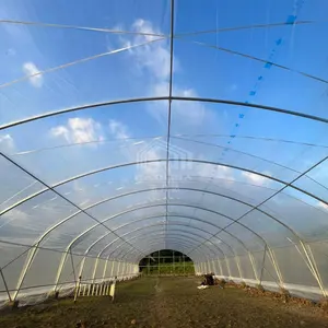 serre agricole irrigation system high tunnel greenhouse plastic house for agriculture