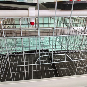 <span class=keywords><strong>Bebederos</strong></span> Automáticos de 360 Grados <span class=keywords><strong>para</strong></span> Aves de Corral, <span class=keywords><strong>Pollos</strong></span>, Patos y Codornices, Tetinas <span class=keywords><strong>para</strong></span> Agua Potable <span class=keywords><strong>para</strong></span> Crías en Granjas - Product Image 2