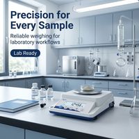 Balance de précision numérique 0,01g XY300-2C 310g, balance électronique avec plateau en acier inoxydable, fonction tare, conversion d'unités, portable