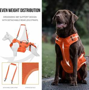 Arnés de elevación para perros grandes, material Oxford de lujo, soporte de cadera, elevador de cuerpo completo con asas, <span class=keywords><strong>Invictus</strong></span> duradero - Product Image 3