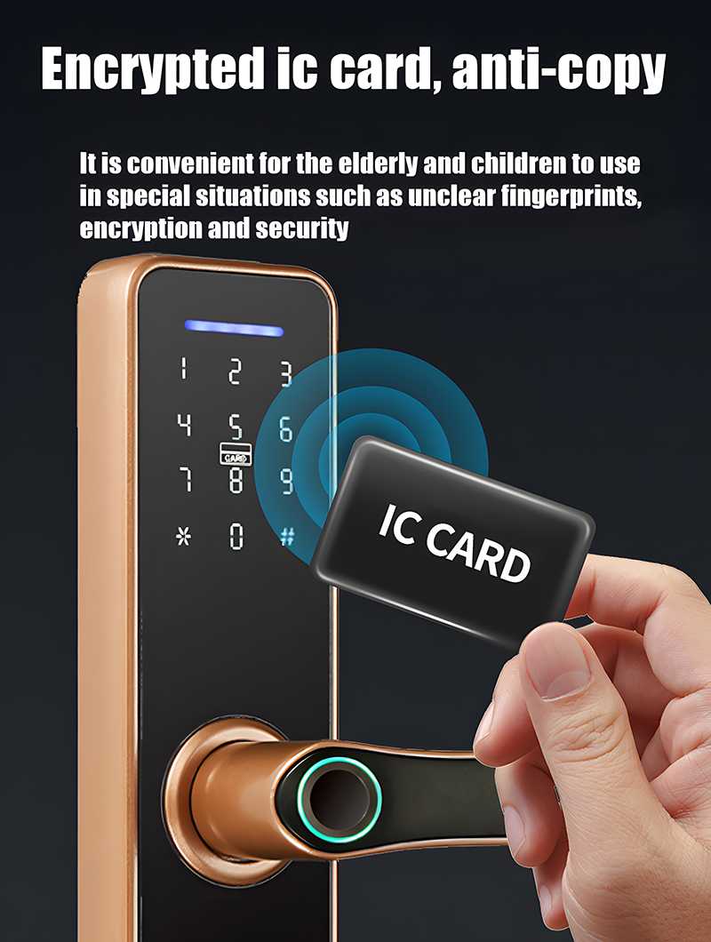 H5550b3e08e7d402e9a5ea2f618593817S