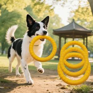 Mainan Olahraga & Latihan Ringan untuk Anjing & Kucing, Olahraga Luar Ruangan - Product Image 1