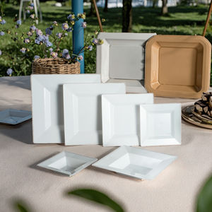 Классические тяжелые белые квадратные одноразовые пластиковые тарелки высокого качества для салата/закусок/ужина - Product Image 4