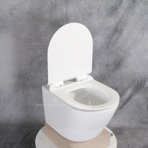Grande Fortune Porcelaine Commode Murale Toilette Suspendue Ronde Toilette Suspendue Salle De Bains Tornado Toilette À Chasse D'eau - Product Image 2