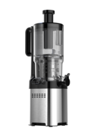 Compacte Lage Ruis Slow Cold Juicer Voor Groenten En Fruit Sinaasappelpers