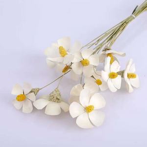 10 pièces en gros séché gemme <span class=keywords><strong>orchid</strong></span>ée à la main marguerite fleur décor à la maison fleur artificielle marguerite décorative petit bijou <span class=keywords><strong>orchid</strong></span>ées fleur - Product Image 6