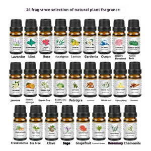 Para Peônia Branca Witergreen Madeira Rosa Yarrow Yilan Alta Qualidade Âmbar Paris Oriental Journey <span class=keywords><strong>Galangal</strong></span> One Pack Óleo Essencial