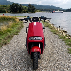 Motocicleta Eléctrica de Carrocería Abierta para Personas con Discapacidad, con Capacidad para 2 Pasajeros - Product Image 3