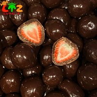 Vente en gros en vrac Halal Lyophilisé FD Fraise Chocolat Fruits composés Forme pâteuse